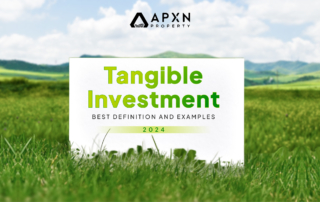 Tangible Investment – Best Definition and Examples (2024)