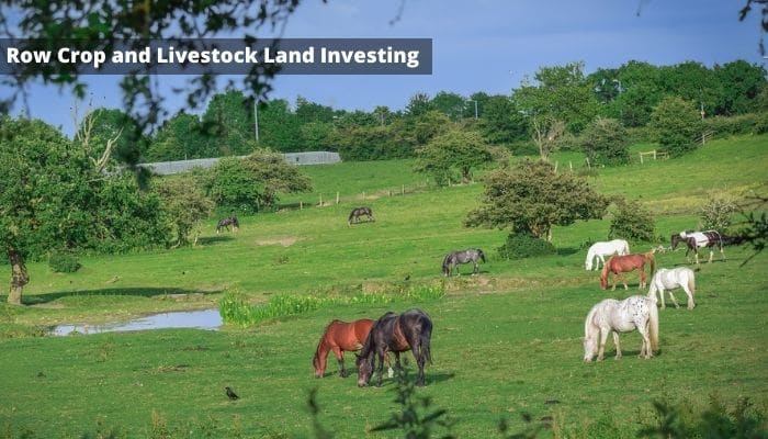 Row Crop and Livestock Land Investing