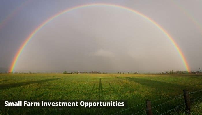 Small Farm Investment Opportunities
