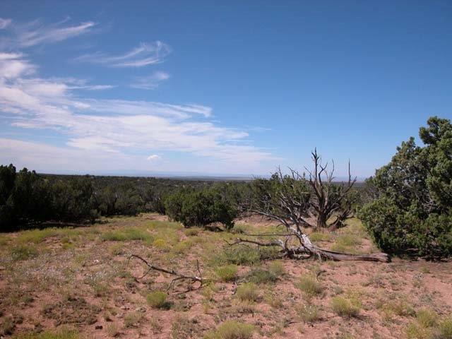 Vacant land in Apache County
