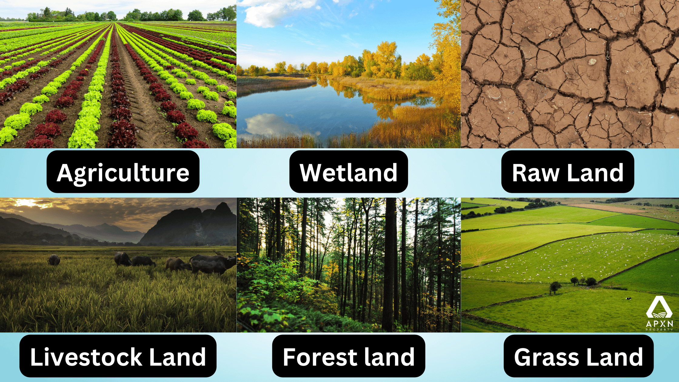 Different types of land
