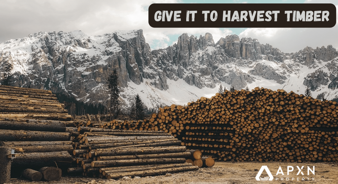 Give your land to harvest timber