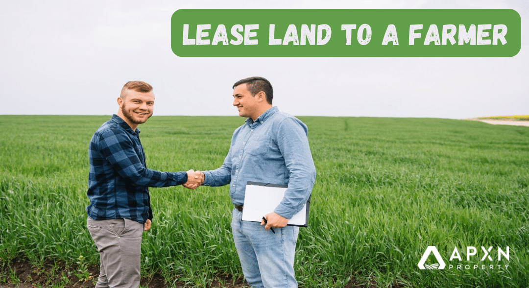 Lease Land to Farmer