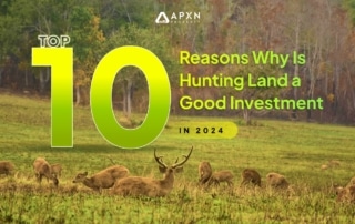 Top 10 Reasons Why Is Hunting Land a Good Investment (2024)-min