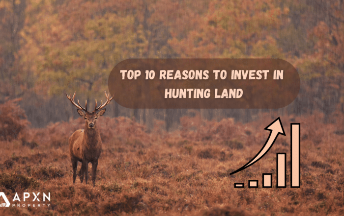 Reasons to invest in hunting land